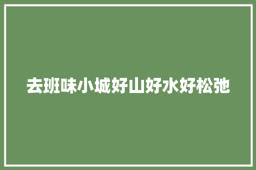 去班味小城好山好水好松弛