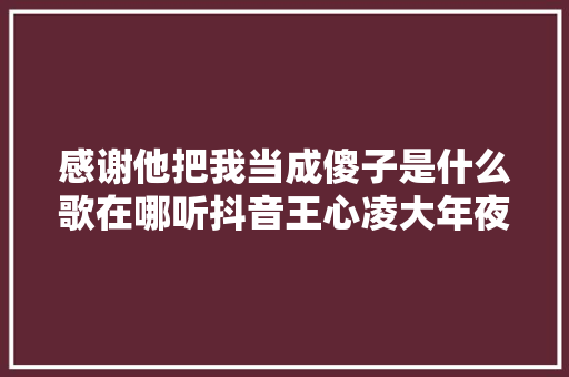 感谢他把我当成傻子是什么歌在哪听抖音王心凌大年夜眠完整歌词 休闲娱乐