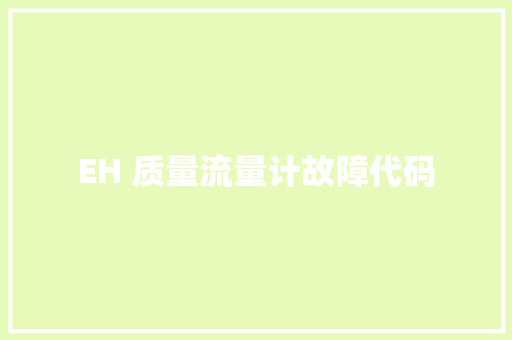 EH 质量流量计故障代码