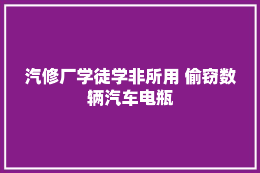 汽修厂学徒学非所用 偷窃数辆汽车电瓶