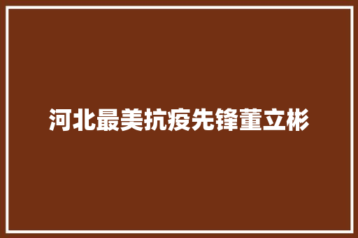 河北最美抗疫先锋董立彬