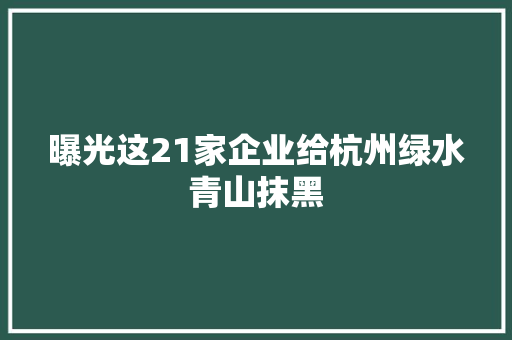 曝光这21家企业给杭州绿水青山抹黑