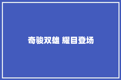 奇骏双雄 耀目登场