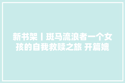 新书架丨斑马流浪者一个女孩的自我救赎之旅 开篇媲美百年孤独