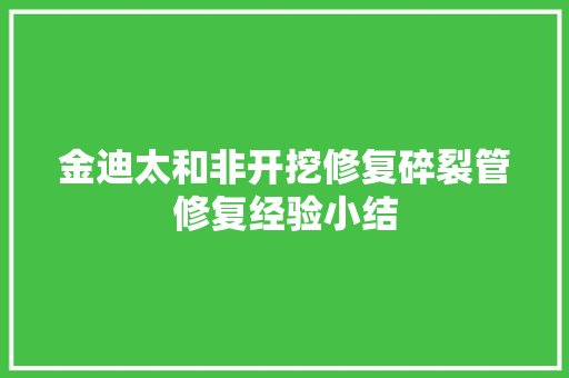 金迪太和非开挖修复碎裂管修复经验小结