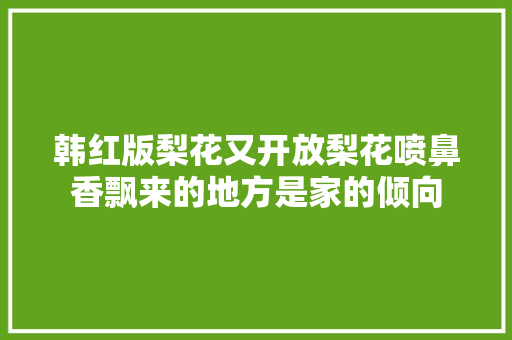 韩红版梨花又开放梨花喷鼻香飘来的地方是家的倾向
