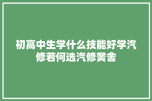 初高中生学什么技能好学汽修若何选汽修黉舍