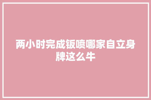 两小时完成钣喷哪家自立身牌这么牛