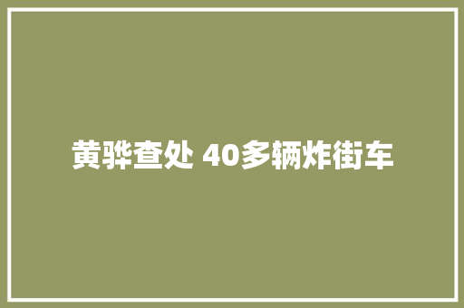 黄骅查处 40多辆炸街车