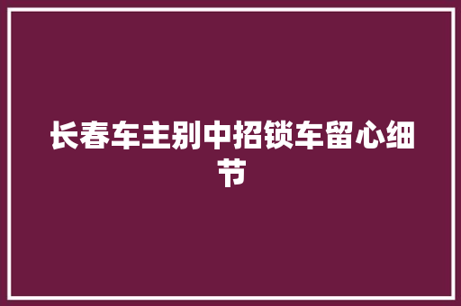 长春车主别中招锁车留心细节