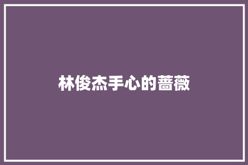 林俊杰手心的蔷薇