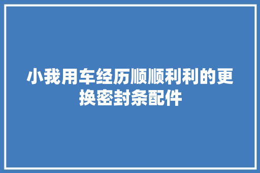 小我用车经历顺顺利利的更换密封条配件