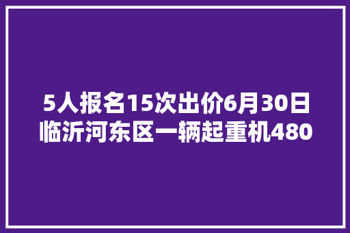 5人报名15次出价6月30日临沂河东区一辆起重机480万拍卖成交