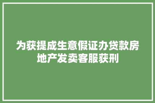 为获提成生意假证办贷款房地产发卖客服获刑