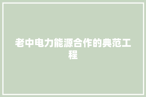 老中电力能源合作的典范工程
