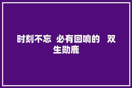 时刻不忘  必有回响的   双生勋鹿