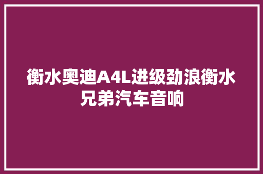 衡水奥迪A4L进级劲浪衡水兄弟汽车音响