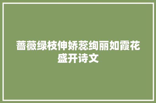 蔷薇绿枝伸娇蕊绚丽如霞花盛开诗文