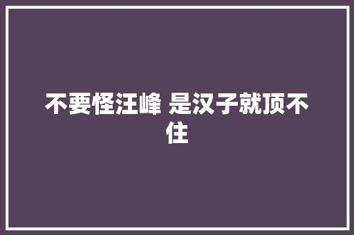 不要怪汪峰 是汉子就顶不住