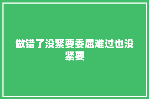 做错了没紧要委屈难过也没紧要