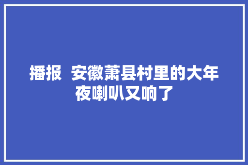 播报  安徽萧县村里的大年夜喇叭又响了