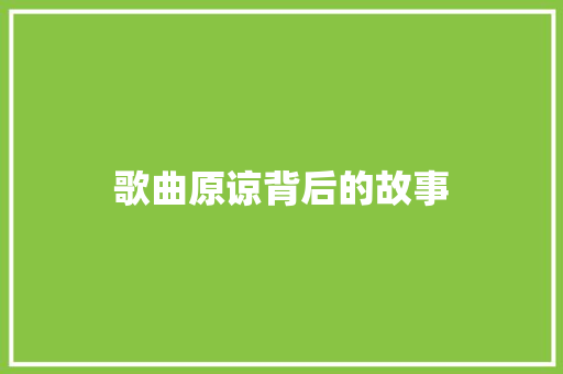 歌曲原谅背后的故事