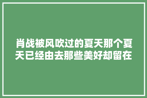 肖战被风吹过的夏天那个夏天已经由去那些美好却留在心底