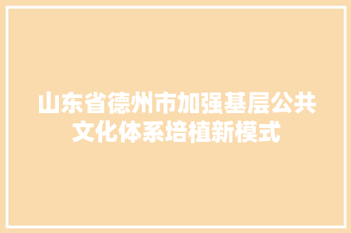 山东省德州市加强基层公共文化体系培植新模式