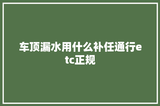 车顶漏水用什么补任通行etc正规