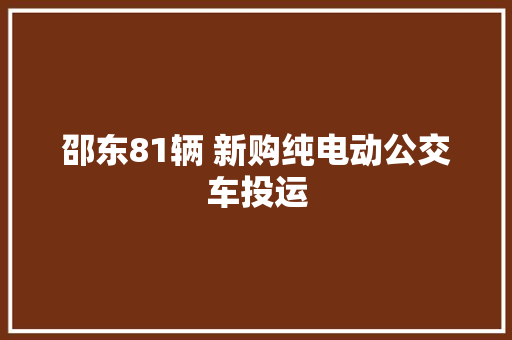 邵东81辆 新购纯电动公交车投运