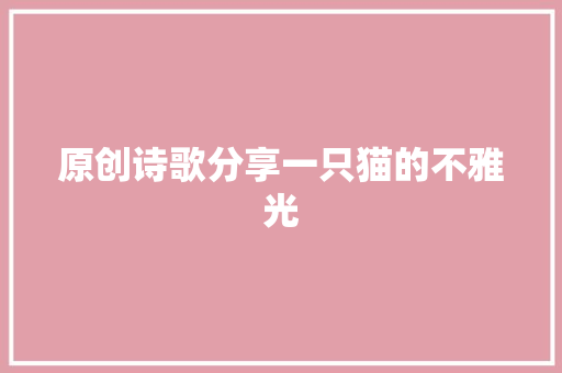 原创诗歌分享一只猫的不雅光