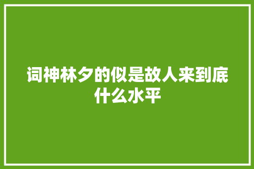 词神林夕的似是故人来到底什么水平