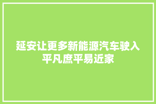 延安让更多新能源汽车驶入平凡庶平易近家