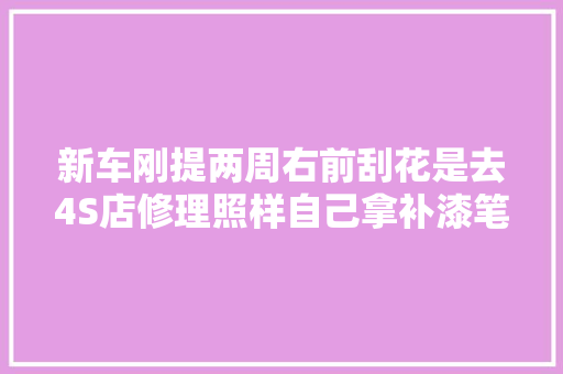 新车刚提两周右前刮花是去4S店修理照样自己拿补漆笔补呢