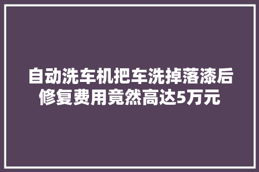 自动洗车机把车洗掉落漆后修复费用竟然高达5万元