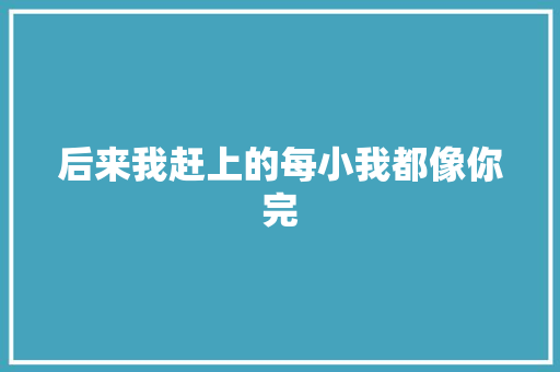 后来我赶上的每小我都像你完