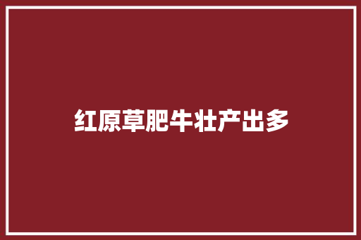 红原草肥牛壮产出多