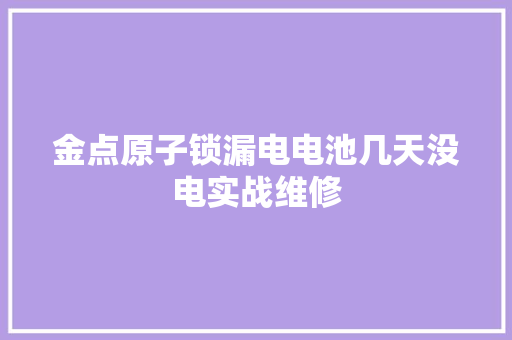金点原子锁漏电电池几天没电实战维修
