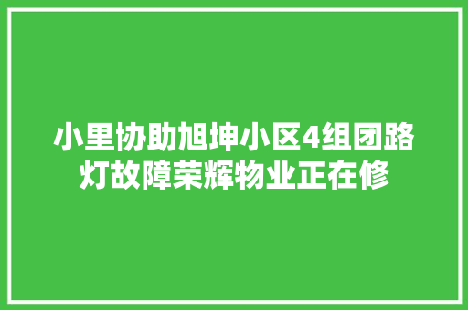 小里协助旭坤小区4组团路灯故障荣辉物业正在修