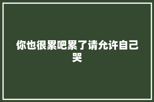 你也很累吧累了请允许自己哭