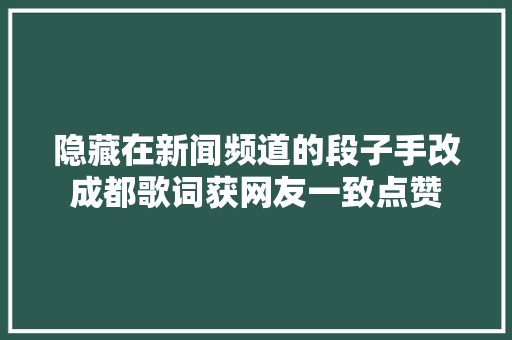 隐藏在新闻频道的段子手改成都歌词获网友一致点赞