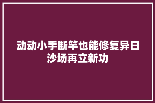 动动小手断竿也能修复异日沙场再立新功