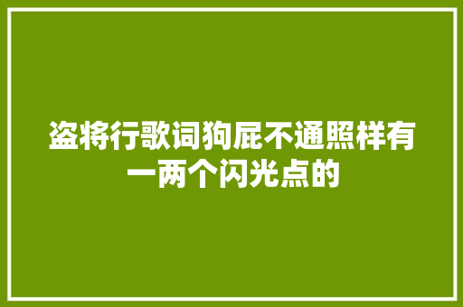 盗将行歌词狗屁不通照样有一两个闪光点的