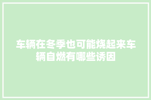 车辆在冬季也可能烧起来车辆自燃有哪些诱因