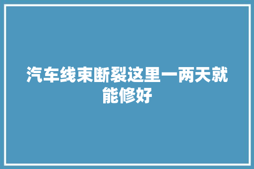 汽车线束断裂这里一两天就能修好 汽车知识