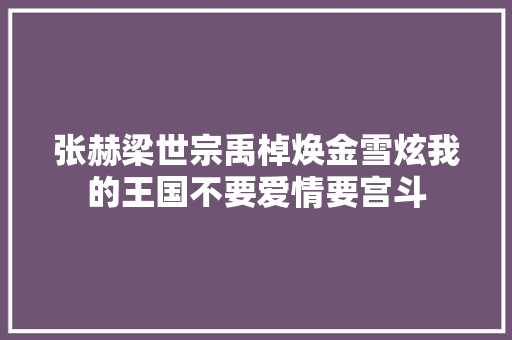 张赫梁世宗禹棹焕金雪炫我的王国不要爱情要宫斗