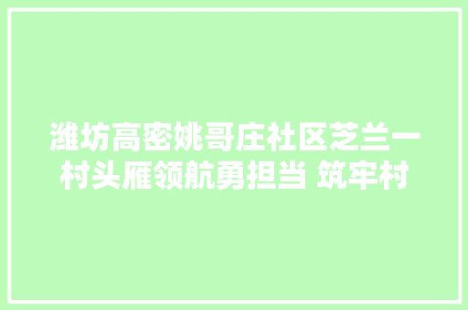 潍坊高密姚哥庄社区芝兰一村头雁领航勇担当 筑牢村落振兴主心骨