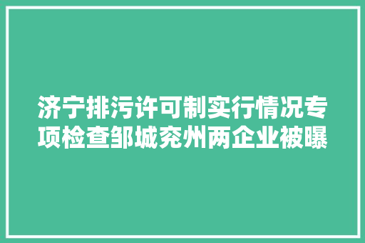 济宁排污许可制实行情况专项检查邹城兖州两企业被曝光