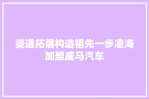 渠道拓展构造祖先一步凌海加盟威马汽车