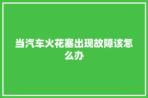 当汽车火花塞出现故障该怎么办